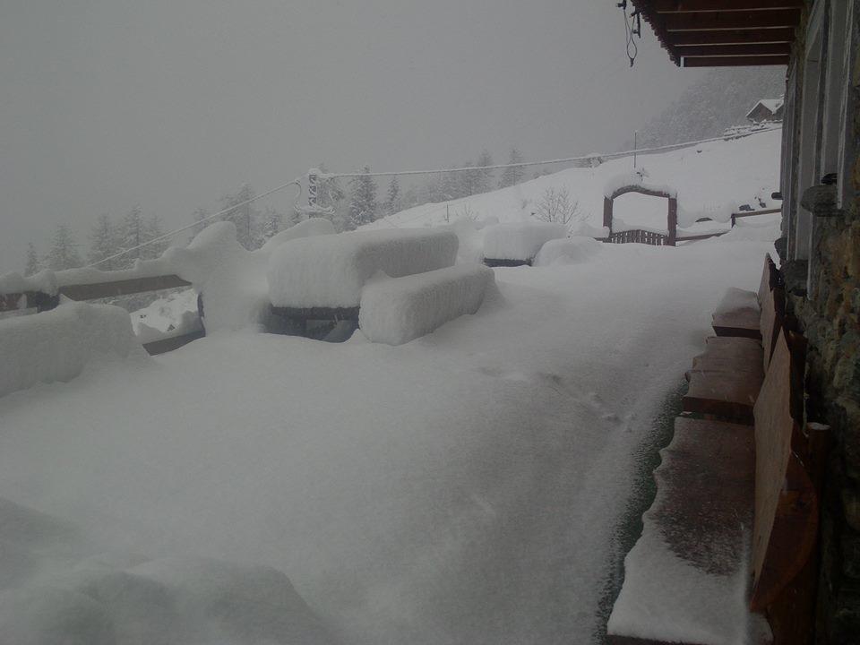 Chalet Rifugio Alpe Ponte *